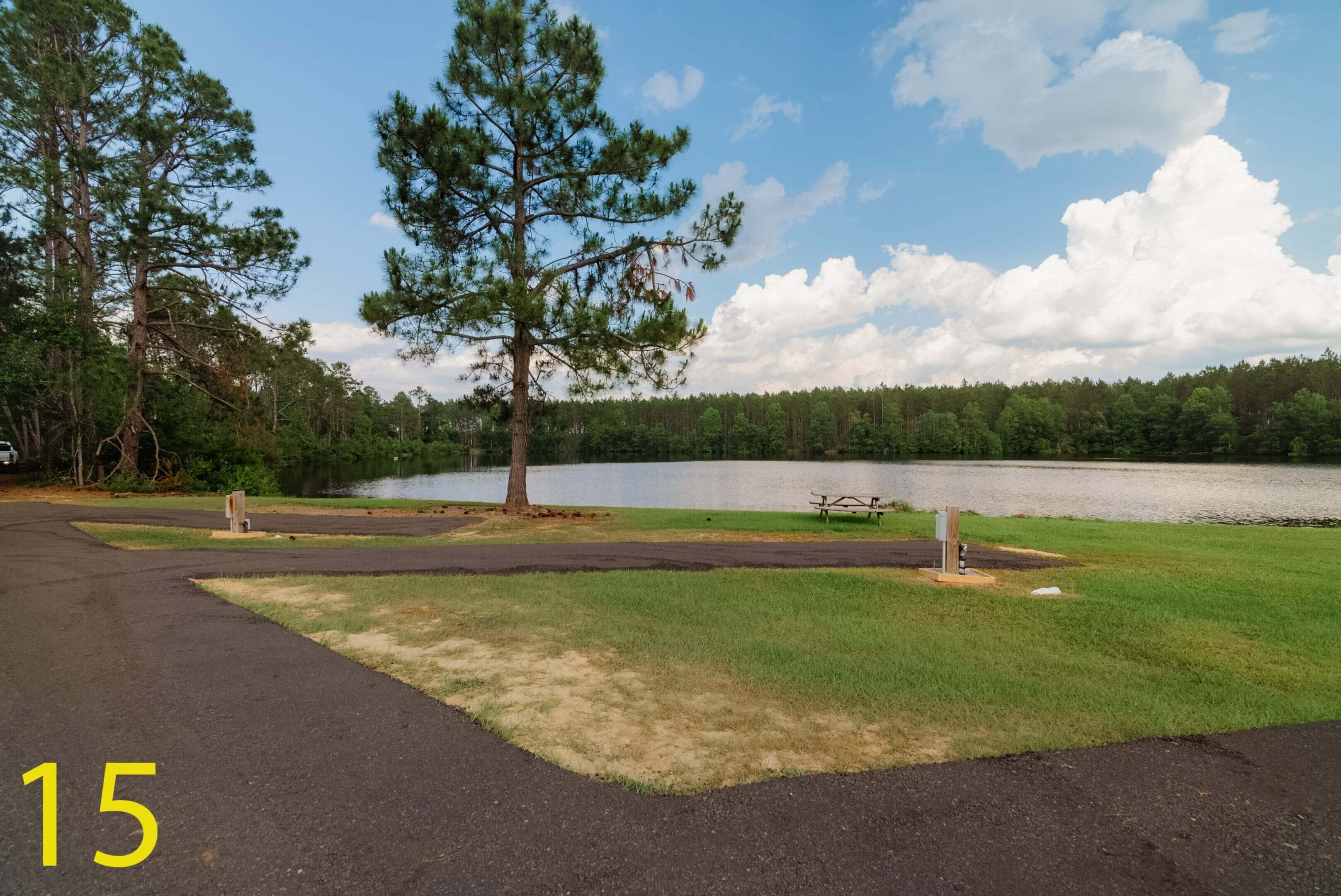 A tree near a lake under a partly cloudy sky.