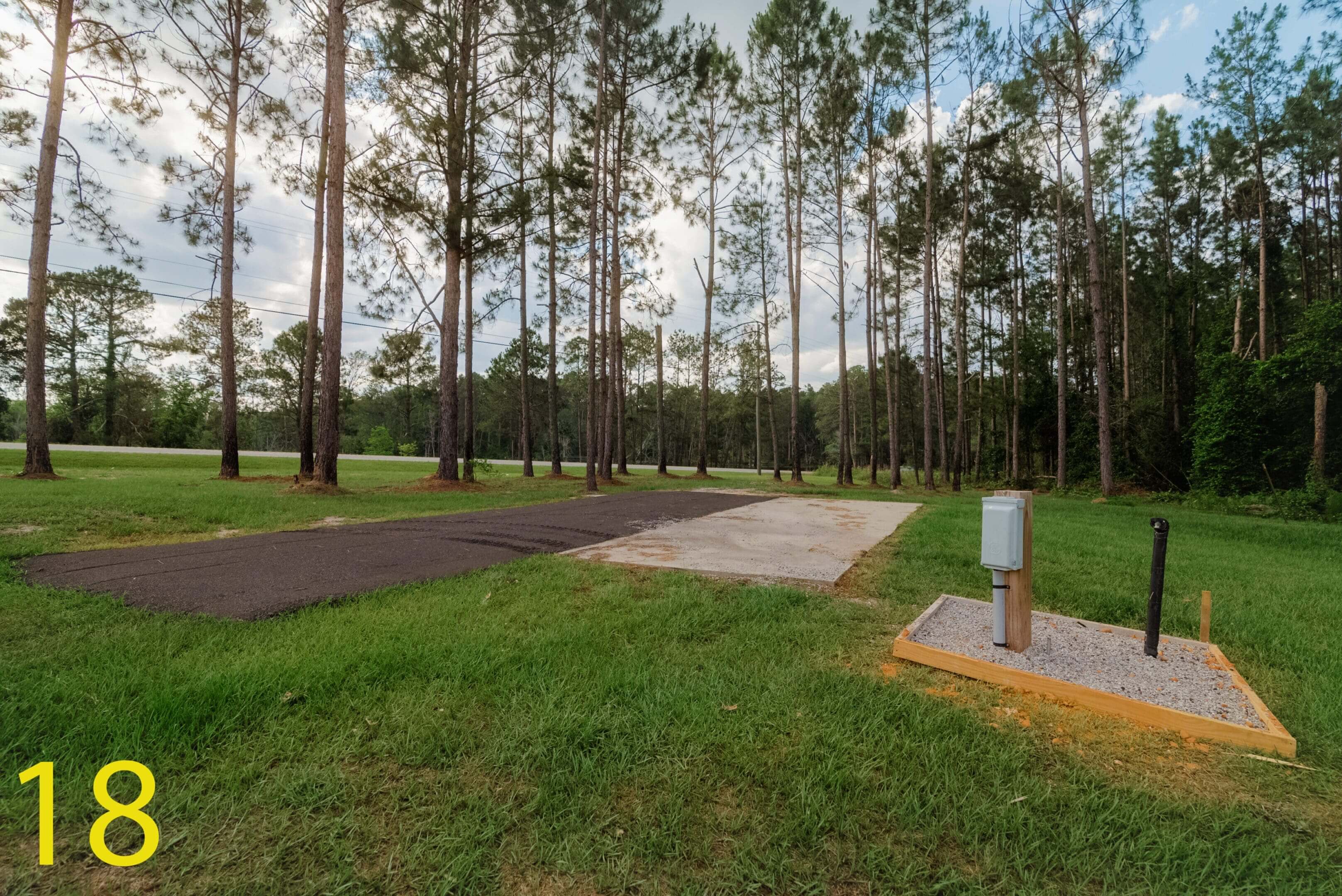 A peaceful park with tall trees and a paved pathway.