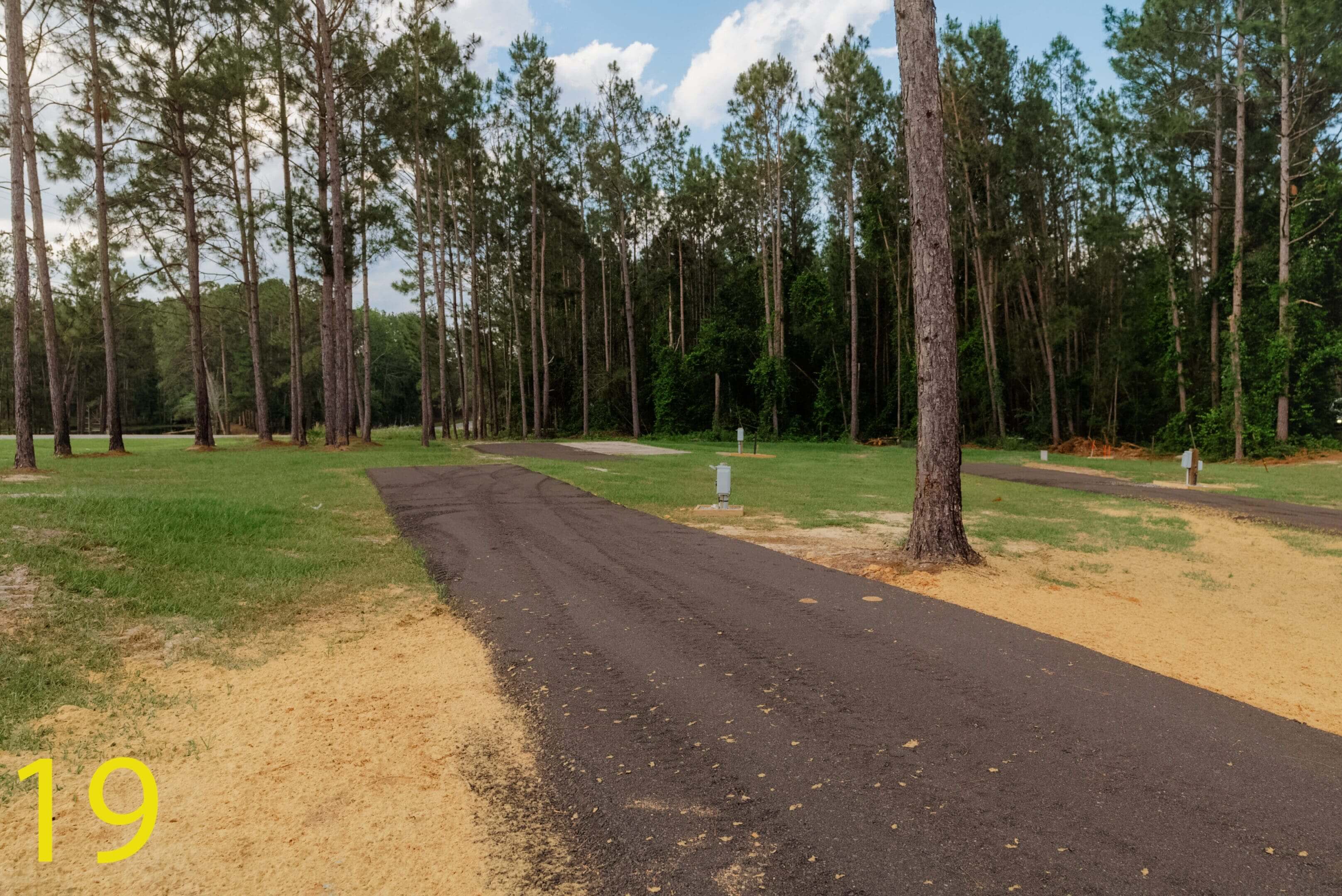 A paved pathway through a forested area with tall trees.