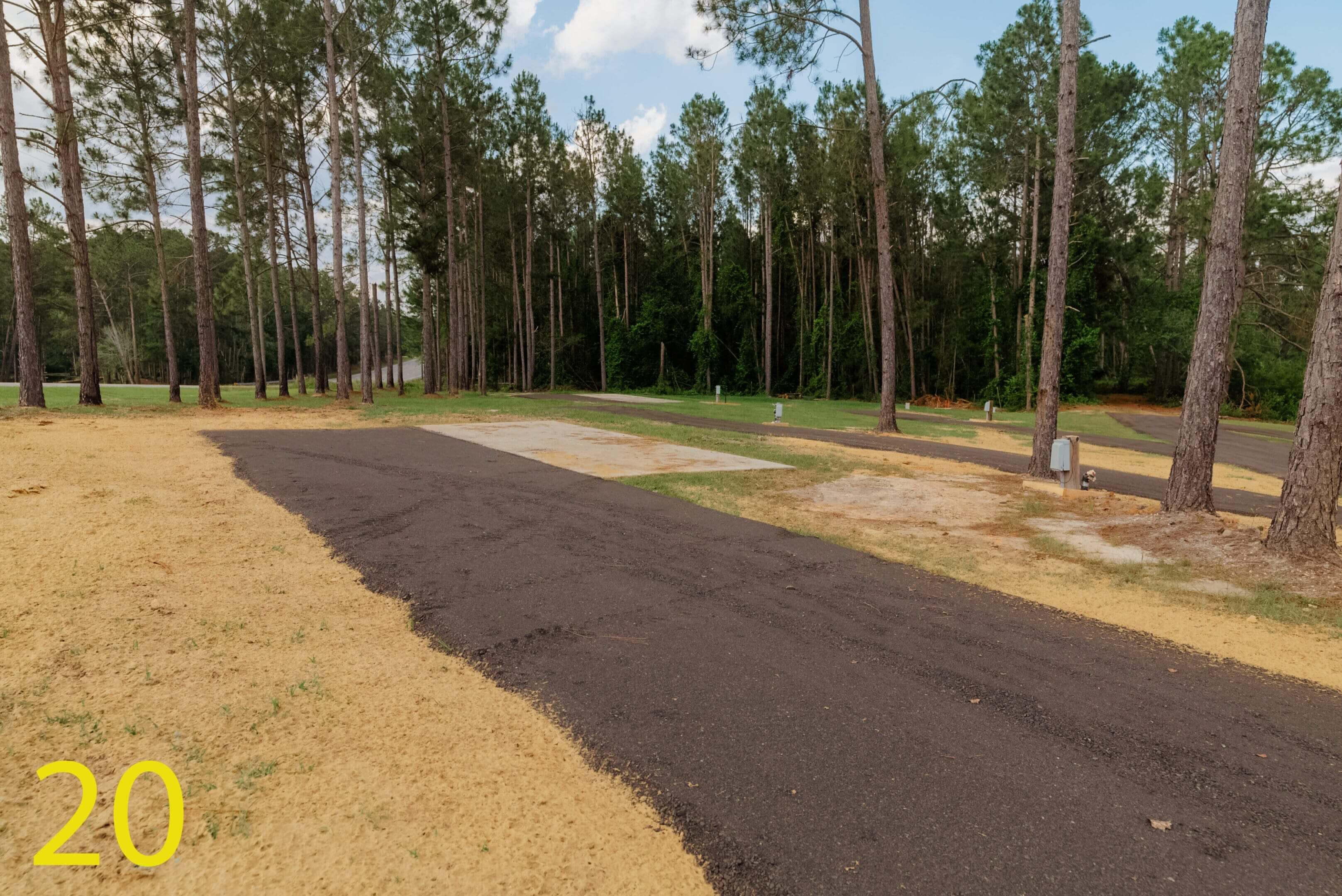 A newly paved asphalt path winding through a dry grassy area with tall pine trees.