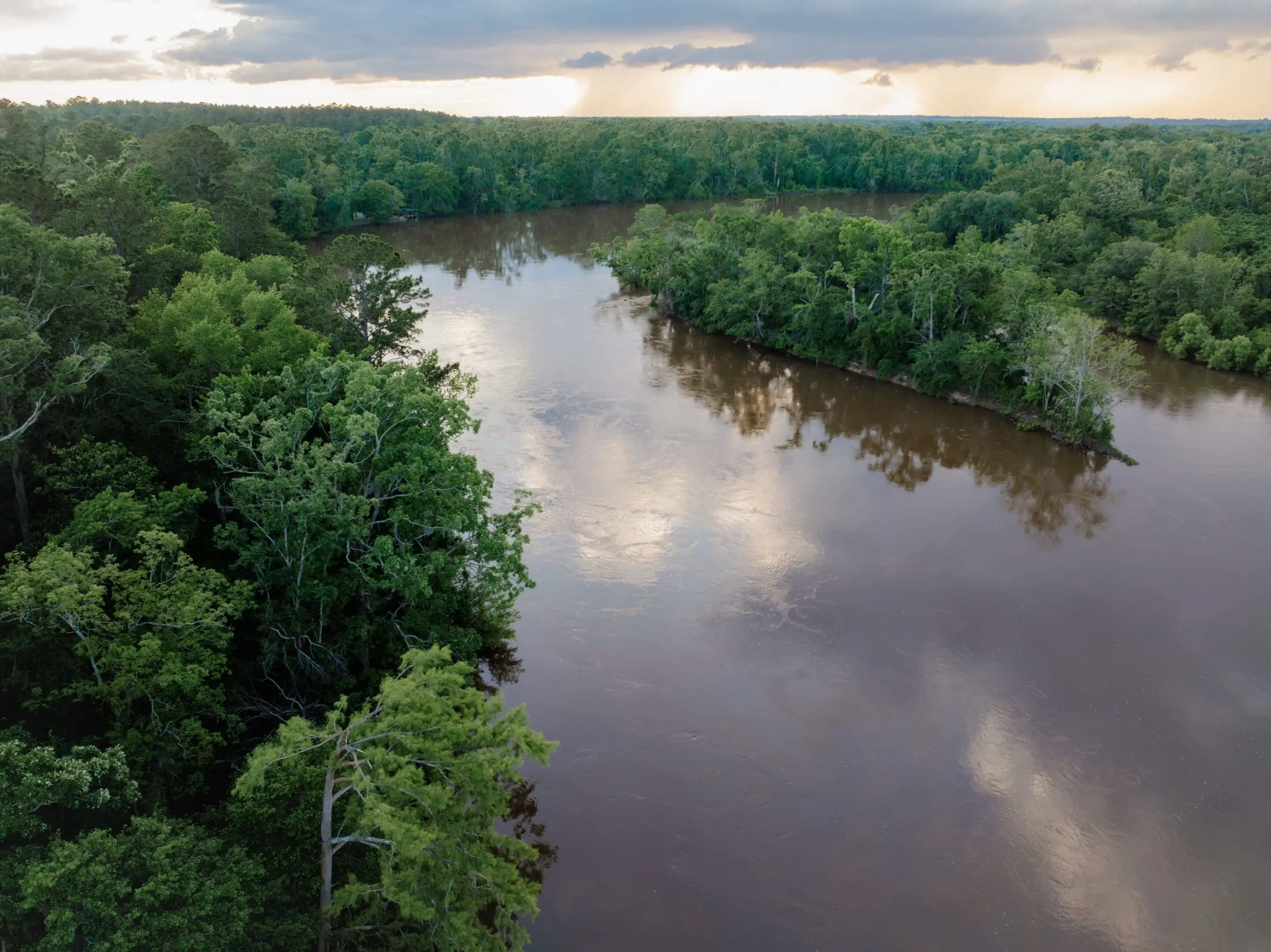 A river winding through a dense forest under a cloudy sky.